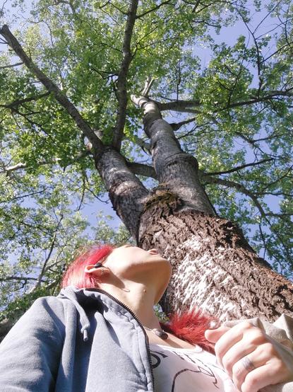 Ich stehe neben einer großen Silberpappel und schaue in die Baumkrone. Habe rote Haare und trage eine blaugraue Sweatjacke. Der Baum hat eine silbrig-graue knorrige Rinde und schon silbrig-grüne Blätter. Die Sonne scheint, der Himmel ist blau.