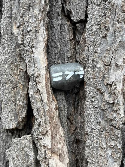Photo of grey rock wedged into furrow of tree bark painted with white writing of math symbols of the equal sign, greater than sign, and division sign.