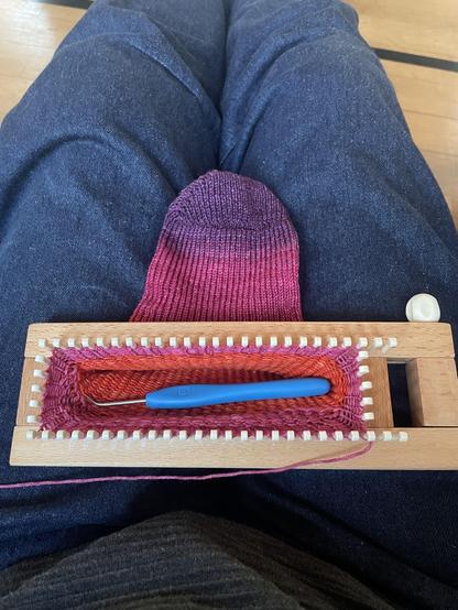 A wooden sock loom is placed in a lap thats wearing jeans. The start of a pink and orange sock is on the loom, with the rounded toe visible.