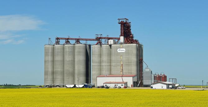 Viterra Inland Grain Terminal In Saskatchewan  

A Viterra Inland Terminal sits on the edge of a canola field