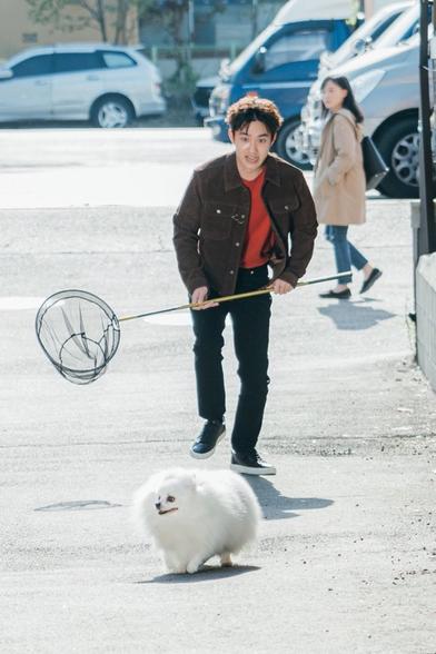Doh Kyungsoo in his role as Jin Jeong from the kdrama Bad Prosecutor chases after a small fluffy dog with a big fishing net.