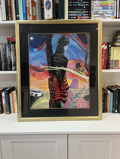A picture of a black cockatoo and a honey eater in a recycled frame.