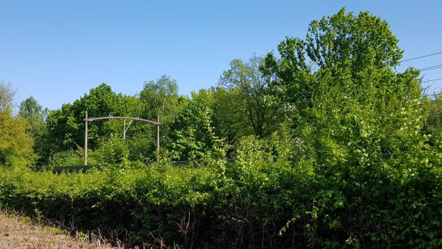 Photo of very blue sky and very green trees in the sun. A railway line, the thing to hold up cables above visible and very green shrubbery in front.