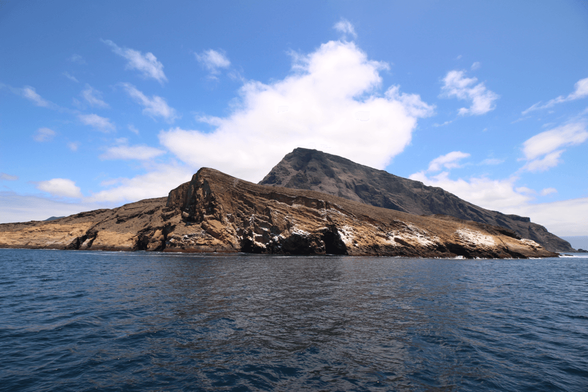 The equatorial cold tongue stretches thousands of kilometers westward from Ecuador along the equator. It has far-ranging effects, including in the Galapagos archipelago seen here.