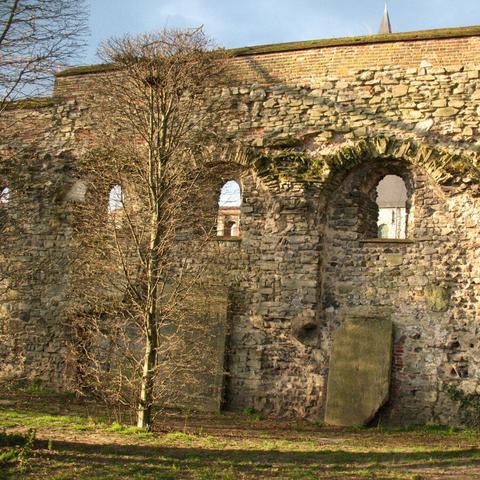 Photo of an old wall of ancient abbey with a small bare tree in front of it. The sun shines on the rocks of the wall.