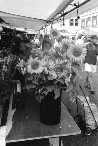 #IntentionallyLeftBlank