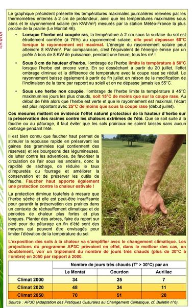 Lorsque l’herbe est coupée ras, la température à 2 cm sous la surface du sol est
étroitement corrélée (à 75%) au rayonnement solaire, elle peut dépasser 60°C
lorsque le rayonnement est maximal. L’énergie du rayonnement solaire peut
atteindre 8 KWh/m². Par comparaison, c’est l’équivalent de l’énergie émise par un
poêle à bois de 8 KW de puissance, pendant une heure, tous les m² !
• Sous 8 cm de hauteur d’herbe, l’ombrage de l’herbe limite la température à 50°C
lorsque l’herbe est encore verte. En se desséchant à partir du 20 juillet, l’effet
ombrage diminue et la différence de température avec la coupe rase se réduit. Le
rayonnement baisse également à partir de fin juillet en raison de la modification de
l’inclinaison de la terre par rapport au soleil et on ne dépasse jamais les 55°C.
• Sous une herbe non coupée, l’ombrage de l’herbe limite la température à 45°C
maximum les jours les plus chauds, soit 15°C de moins que sur la coupe rase. Au
début de l’été alors que l’herbe est verte et que le rayonnement est maximal, l’écart
est plus important avec 25°C de moins que sous la coupe rase (début juillet).