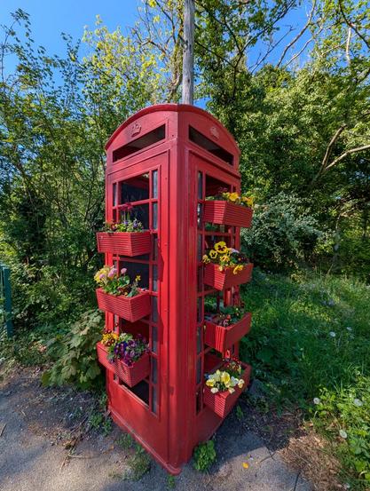 A disused red phonebox repurposed for displaying cheerful spring  blooms in boxes. Some disused phoneboxes get repurposed as used-book swap boxes, or to hold a defibrillator, or as community notice boards. This one is at the town of Marlborough, Wiltshire, England. end April 2025.