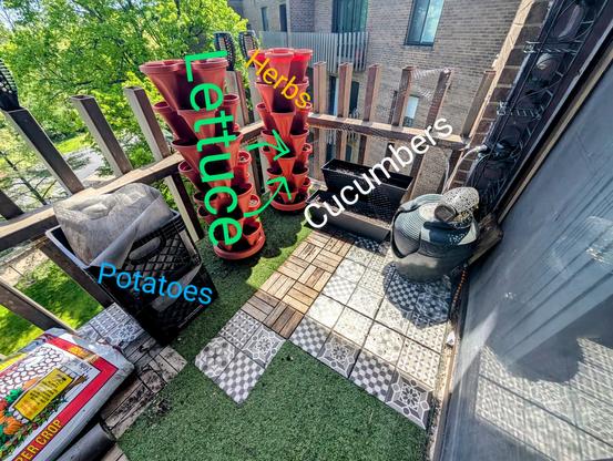 A small balcony with AstroTurf and tile tiles on top. There are two milk crates with lining and dirt in them as well as plot towers and two long towers with a lot of netting attached. Each planter is labeled either potatoes, lettuce, herbs or cucumbers.