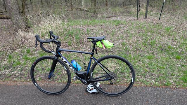 Blue and black Roubaix bicycle parked on the asphalt Bear Creek Trail with a small stand of blooming Bloodroot behind surrounded by green foliage and tree trunks.