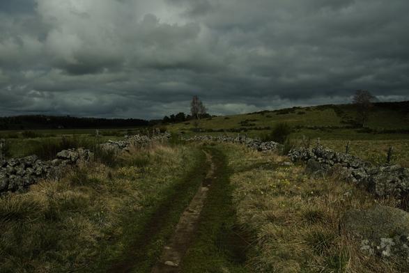 Chemin sur l'Aubrac