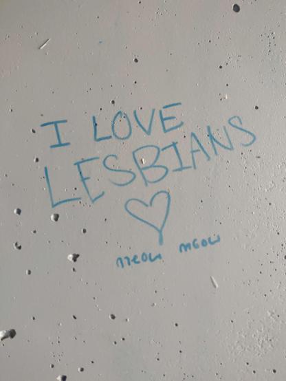 Graffiti that says "I love lesbians (heart) meow meow".