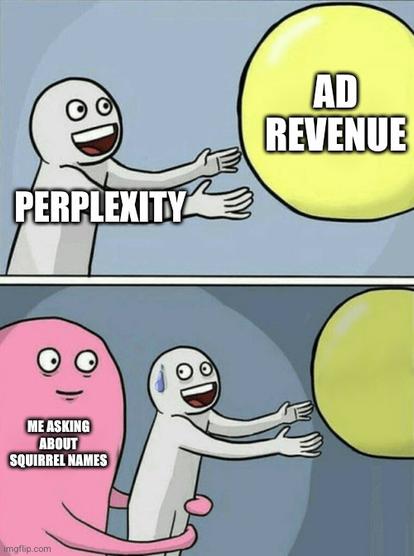 meme about Perplexity: ad revenue in reach but me asking it for squirrel names