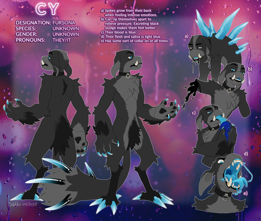Reference sheet of a grey anthropomorphic creature. Front and back view and four smaller portraits depicting spikes growing from their back, black sludge coming out of a cut-off arm, licking a wound and a view of their maw.

The text reads:
Cy. Designation: fursona. Species: unknown. Gender: unknown. Pronouns: they/it.

a) Spikes grow from their back when feeling intense emotions. b) Can rip themselves apart to relieve pressure. Excreting black sludge makes them feel better. c) Their blood is blue. d) Their flesh and saliva is light blue. e) Has some sort of collar on at all times.
