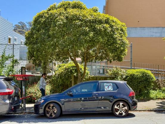 Photograph of a small, black #Volkswagen automobile parked at the curb of a street. A poster with the stylized Tesla “T”  emblem inside a 🚫 is mounted inside the car’s rear side window. A ficus tree with a bright green, bushy canopy; a large, institutional-style building painted an orangey-tan color; and a bright blue sky are visible in the background.