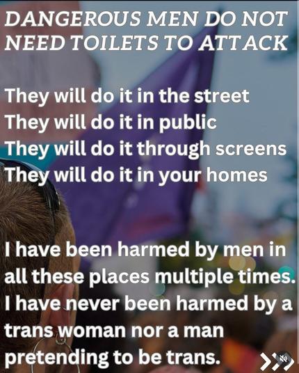DANGEROUS MEN DON'T NEED TOILETS TO ATTACK

They will do it in the street.
They will do it in public.
They will do it through screens.
They will do it in your homes.

I've been harmed by men in all these places multiple times. I have never been harmed by a trans woman nor a man pretending to be trans.