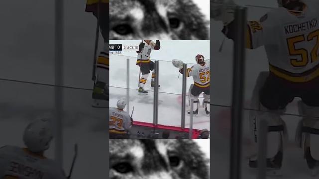 Pyotr Kochetkov GOALIE GOAL vs. Manitoba Moose