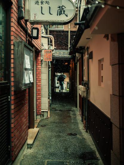 Exploring the Alleys in Japan