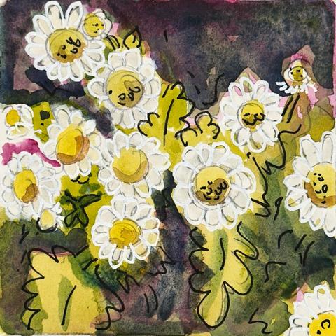Small button like daisies against a dark green background.