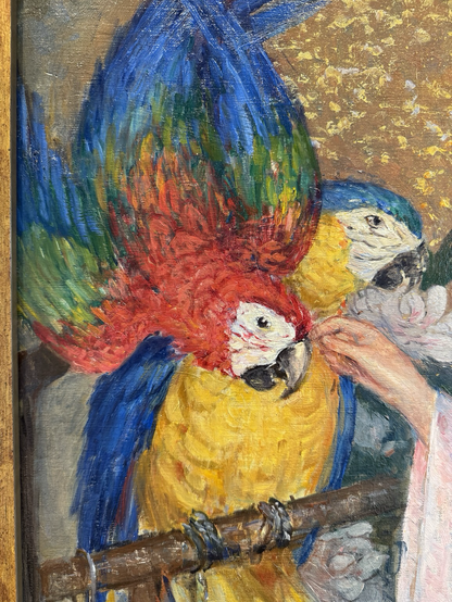 closeup of the two macaws
