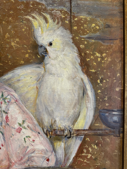 closeup of the cockatoo
