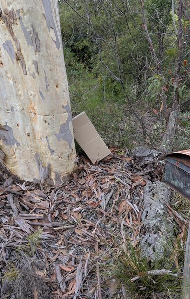 A parcel that has been delivered to a pile of bark and leaf litter behind a tree, approximately 2m from the letterbox. It's easily visible to passing vehicles.
