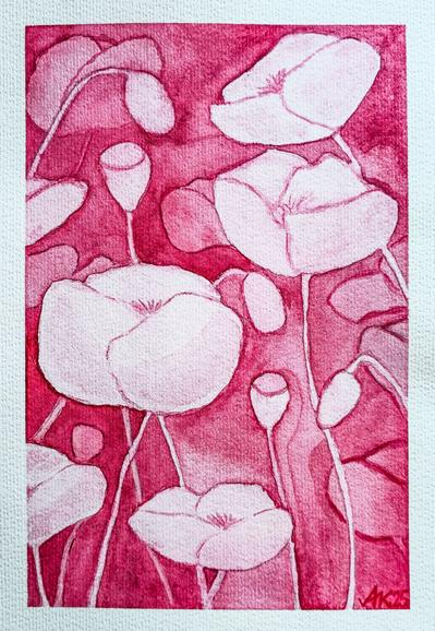 Aquarell in Negativtechnik.  Vor einem kräftigem dunkelrotem Hintergrund sind verschieden helle Mohnblumen und Kapselstände von Mohnblumen herausgestellt.