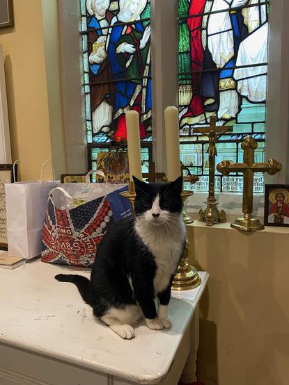 Black and white cat sitting on a white table in front of some shopping bags and a stained glass window