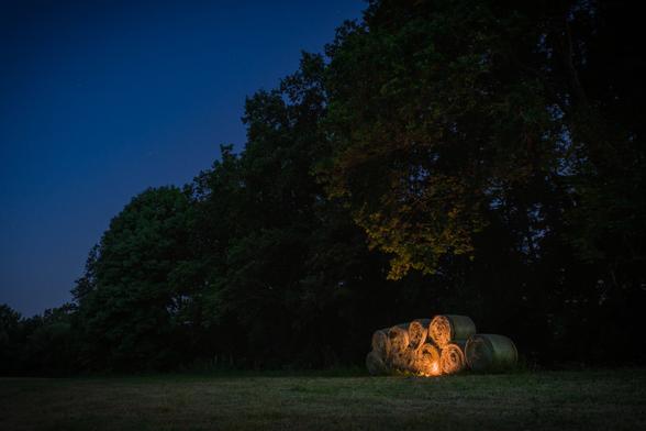 DE: Spätabends am Feldrand. Ein paar Heuballen liegen vor einer Reihe an Laubbäumen. Ein von mir platziertes Licht beleuchtet die Szenerie von unten; auch ein paar Blätter reflektieren die Beleuchtung. Es ist gleich halb elf Anfang Juni und so sind auch ein paar Sterne am Himmel auszumachen.

EN: Late in the evening at the edge of the field. A few bales of hay lie in front of a row of deciduous trees. A light I have placed illuminates the scenery from below; a few leaves also reflect the light. It's almost half past ten in early June, so a few stars can be made out in the sky.