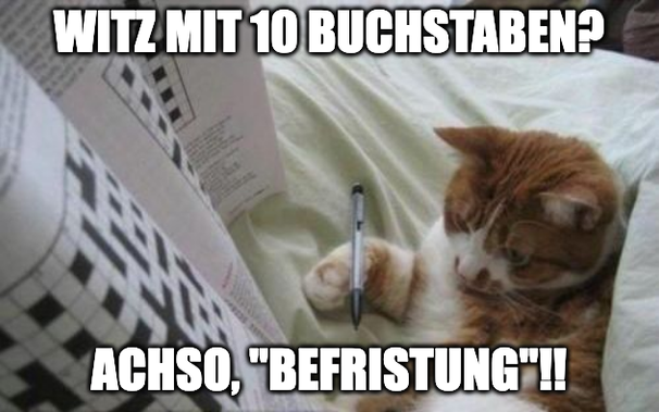 Eine Katze liegt im Bett und macht ein Kreuzwordrätsel. Das Bild ist mit "Witz mit 10 Buchstaben? Achso, Befristung" betitelt.