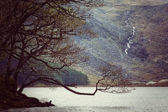 A tranquil view of a still lake bordered by bare trees in the foreground, with a rugged mountain featuring a small waterfall in the background. The dull light suggests an overcast day.