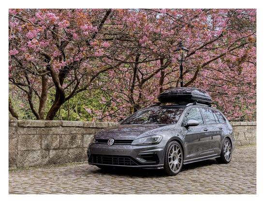 A Golf R under some Cherry Blossom