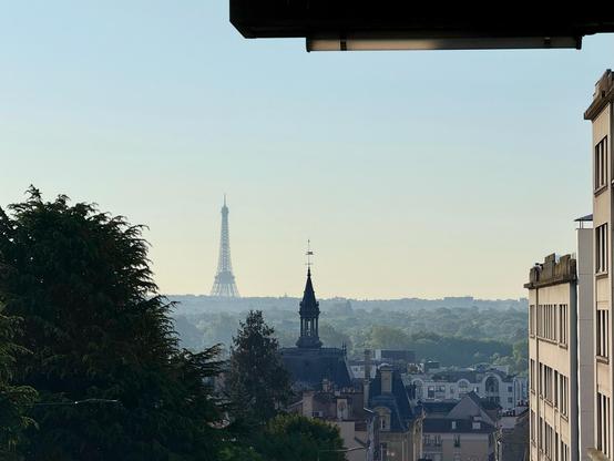 La Tour Eiffel et le Bois de Boulogne depuis Suresnes