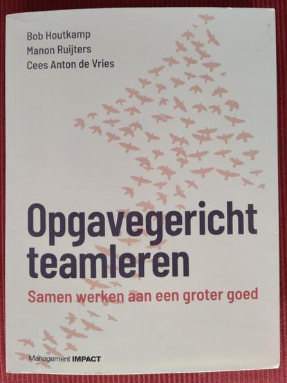 Boekomslag Bob Houtkamp, Manon Ruijters, Cees Anton de Vries - Opgavegericht teamleren. Samen werken aan een groter goed