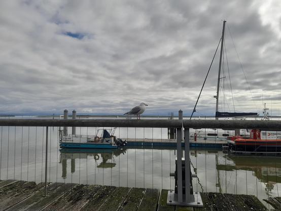 The sky is full of clouds, which are also reflected in the water. There are a few boats parked up next to a pier. The photographer is standing on a boardwalk, and there is a seagull perched on top of the railing.