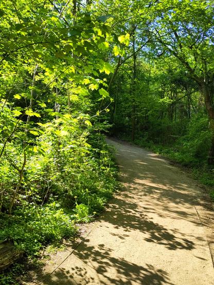 Ein Spazierweg im Grünen