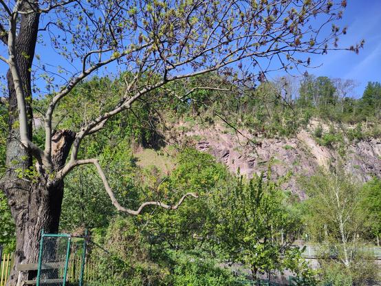 Blick auf eine Felswand über einem Wehr an der Vereinigten Weißeritz