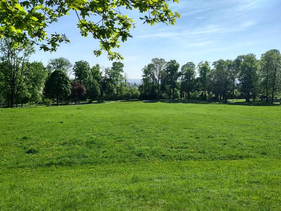 Abschüssiger Blick über eine Wiese in einem Park. Gesäumt von Bäumen. Blauer Himmel und in der Ferne die Stadt.