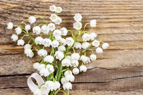 Muets pour 1er mai. 

May Day lily of the valley flowers 

small white bell-shaped flowers with a white bow