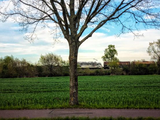 A photograph shows a train, labelled "RAIL FORCE ONE", travelling along a track through a green, grassy field. The train is silver and black. In the foreground, a large tree with bare branches dominates the left side of the frame, partially obscuring the view. The sky is overcast with light blue and white clouds. The train is the main subject, moving horizontally across the frame.