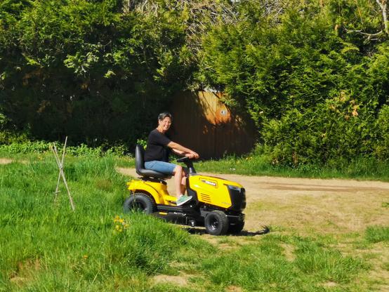Gele zitmaaier maakt kennis met de halve hectare.