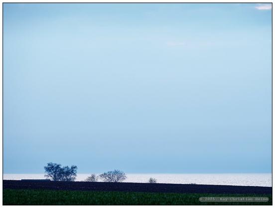 Streng dreigeteiltes Bild; das untere Bilddrittel teilen sich kurz vor Sonnenuntergang ein in dunklem, mattem Grün und Braun daliegender Acker mit den Silhouetten einzelner Sträucher am Horizont und darüber die im Gegenlicht silbrig glänzende Ostsee, darüber ein bleigrauer, konturloser Himmel.
