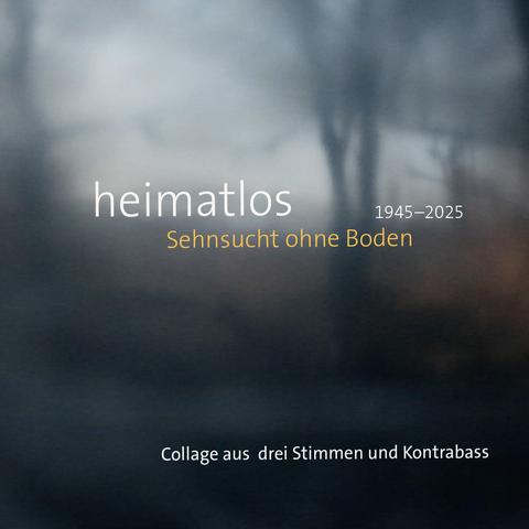 Titelseite Flyer: das unscharfe Bild einer Landschaft, in der Nähe sind Bäume zu erkennen. Darauf der Titel der Performance: heimatlos – Sehnsucht ohne Boden, 1945 - 2025, Collage für drei Stimmen und Kontrabass
