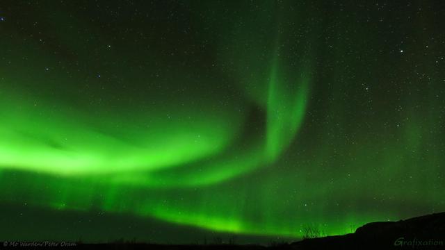 A colour photo of a night sky filled with an uncountable number of stars. Strong curved green bands of aurora stretch across the image, but most of the stars still shine through. Just to the right of centre, two spikes of aurora are joined by a stripe, resembling a green forked tongue. On the dark horizon a distant arc of aurora is highlighting a stand of trees and a power support structure. Many of the bands of aurora have subtle spikes of stronger colour within them.
It's gorgeous.