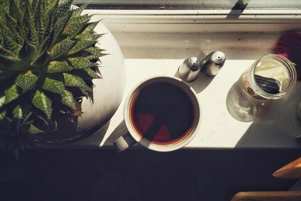 A horizontal top down colour photograph of a full tea mug resting on a windowsill next to an aloe plant, small salt and pepper shakers, and a glass pot.