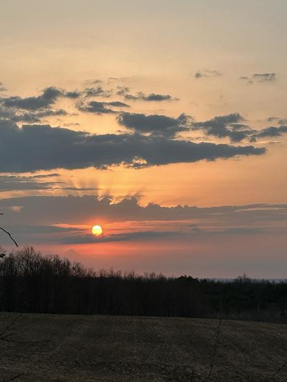 The sun has come up shining reddish behind some clouds. The clouds are sending shadows upwards like beams of light. The sky is blue. The birds are starting to sing. A wild turkey and his harem are grazing the farmers field in front of me. I’m told it’s going to be a beautiful day. I’ll take that.