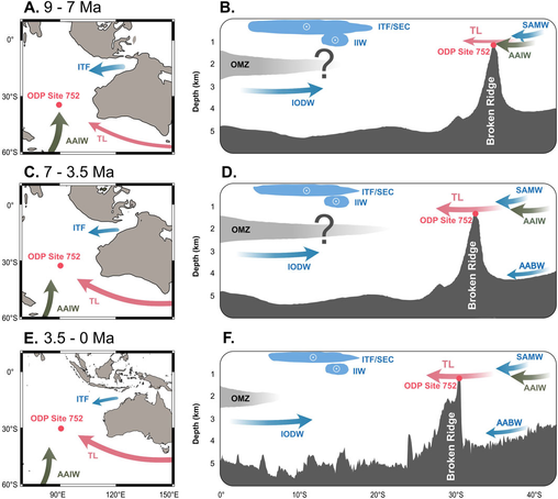 Conceptual illustration of paleoceanographic conditions at Broken Ridge. TL (Tasman Leakage; pink arrows) transports oxygenated intermediate waters over Broken Ridge. (A,C,E) Paleogeographic reconstructions of the southeastern Indian Ocean at key intervals; (B,D,F) Corresponding paleobathymetric profiles along transect A–A′ from Figure 1. IODW = Indian Ocean Deep Water; ITF = Indonesian Throughflow; IIW = Indonesian Intermediate Water; SEC = South Equatorial Current; SAMW = Sub-Antarctic Mode Water; AABW = Antarctic Bottom Water. OMZ extent and current paths are schematic and idealized.