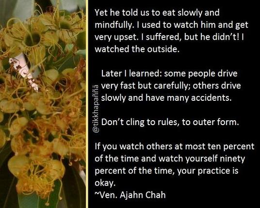 Yet he told us to eat slowly and mindfully. I used to watch him and get very upset. I suffered, but he didn’t! I watched the outside.
Later I learned: some people drive very fast but carefully; others drive slowly and have many accidents.
Don’t cling to rules, to outer form. If you watch others at most ten percent of the time and watch yourself ninety percent of the time, your practice is okay.
~Ven. Ajahn Chah