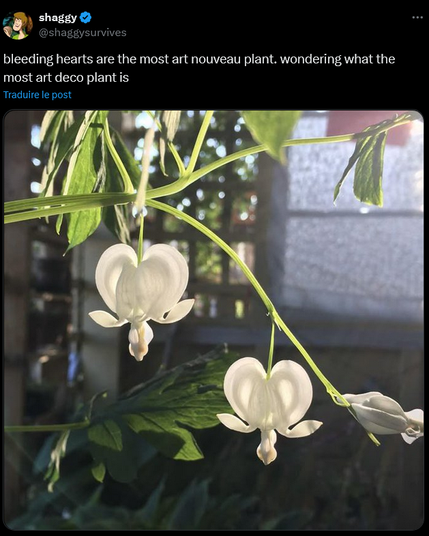 A tweet with this gorgeous pic of white bleeding hearts flowers and the text
"bleeding hearts are the most art nouveau plant. wondering what the most art deco plant is"