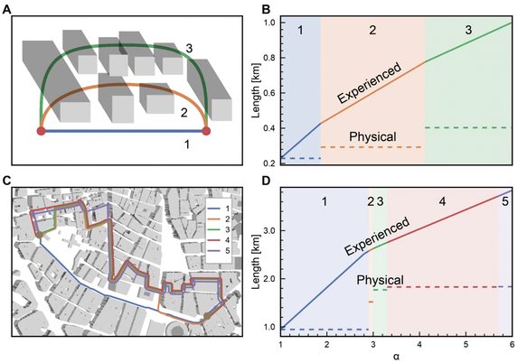Higher sun avoidance alpha implies choice of routes that are not physically shortest but that minimize experienced length. (A) Example of three different links connecting two nodes in the street network, from shortest and least shaded (1, blue) to longest and most shaded (3, green). (B) The choice of which link to take depends on the pedestrian’s sun avoidance alpha. Increasing sun avoidance increases the experienced length because walking in the sun becomes less tolerable. At the threshold between different regimes, for example 1 (blue) to 2 (orange), the experienced length of the shaded link 2 becomes shorter than the experienced length of sunny link 1, implying a preference for link 2 despite longer physical length (dashed orange line). (C,D) Generalization from links to shortest paths with an example of five routes.